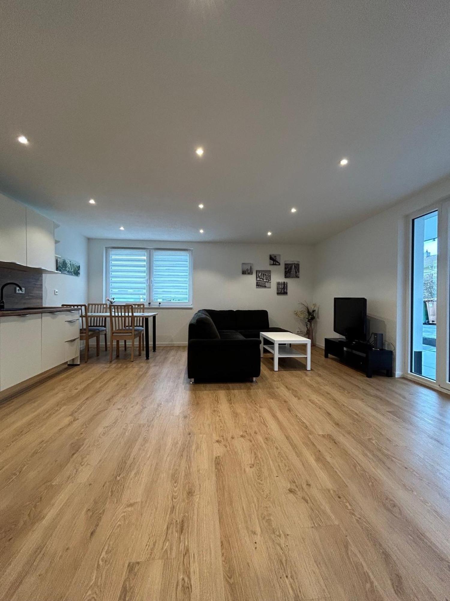 Panorama Suite 20 Sinsheim Dış mekan fotoğraf